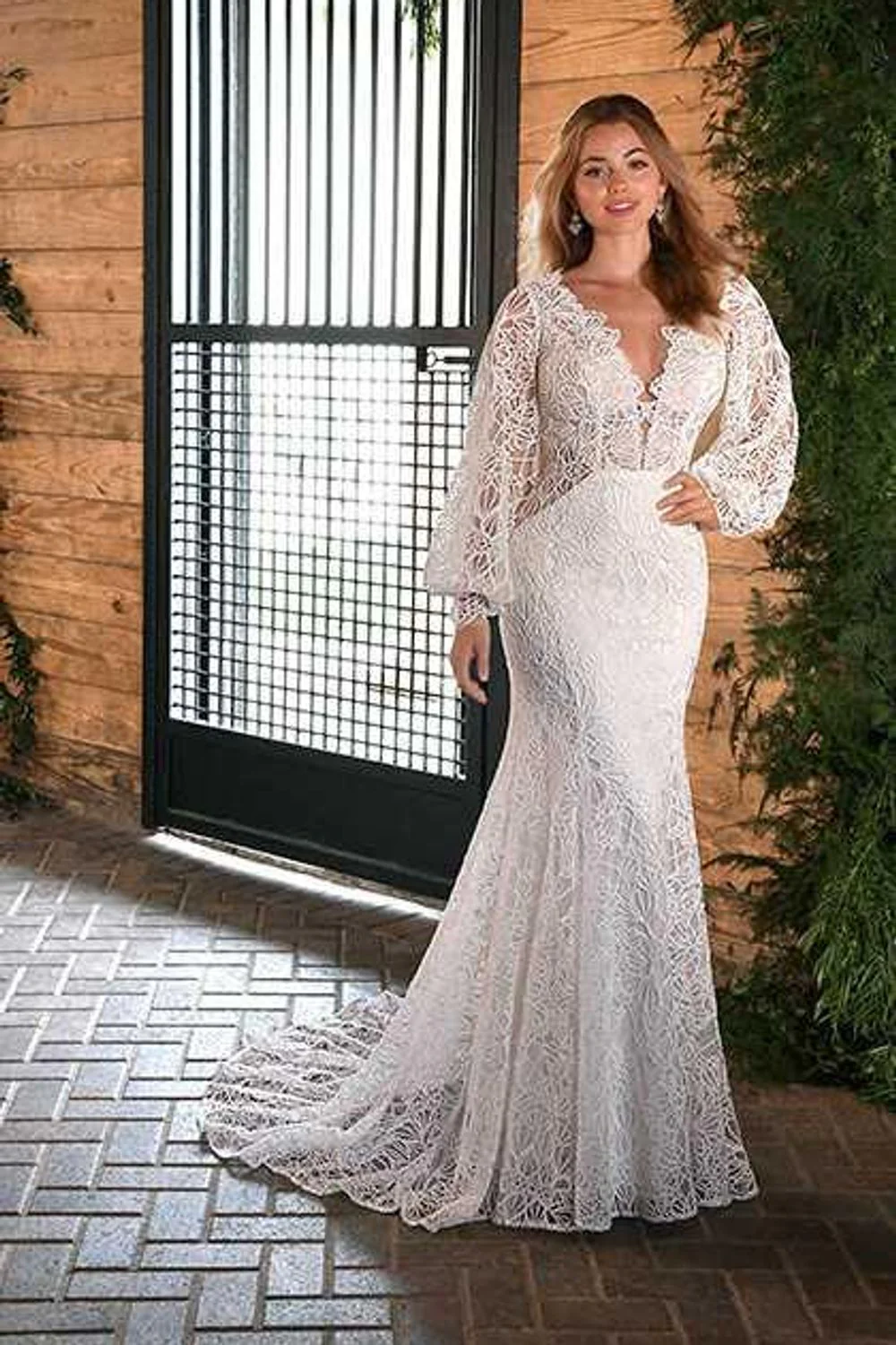 D3443 - Image 2